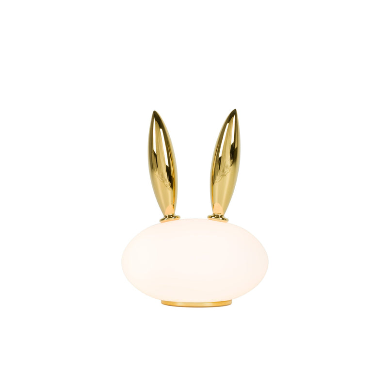 PET LIGHTS - MyConcept Hong Kong