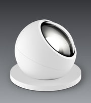 Sito Basso - MyConcept Hong Kong