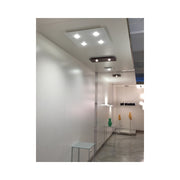 Frozen Small - MyConcept Hong Kong