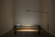 SWAN Wall Lamp - MyConcept Hong Kong