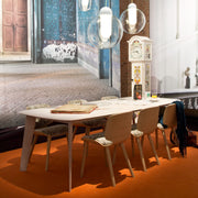NUT DINING CHAIR - MyConcept Hong Kong
