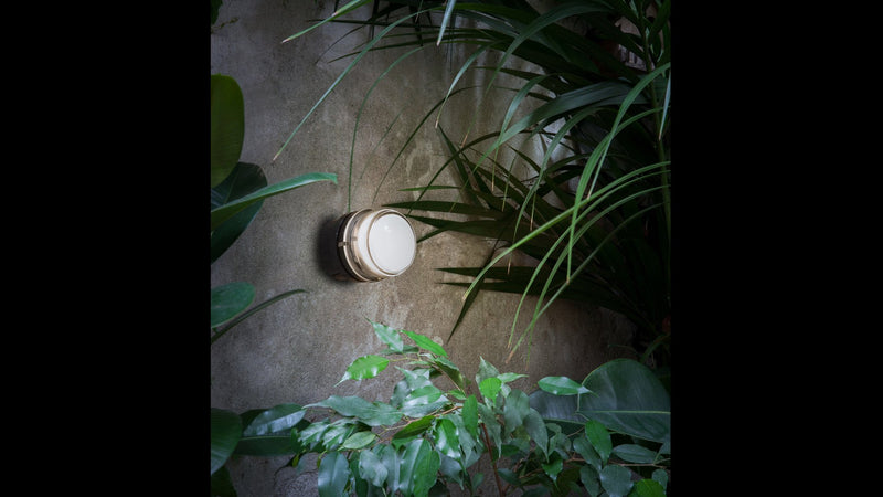 Fresnel Wall and Ceilling Lamp - MyConcept Hong Kong