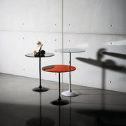 Tulip - MyConcept Hong Kong