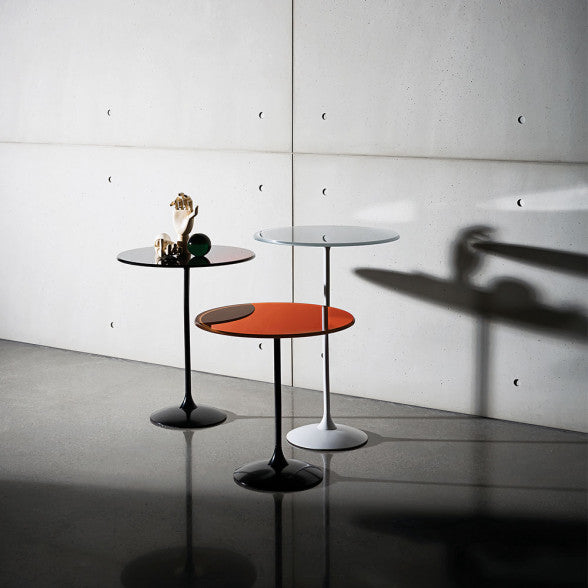 Tulip - MyConcept Hong Kong