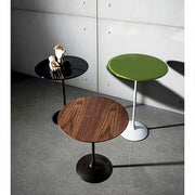 Tulip - MyConcept Hong Kong